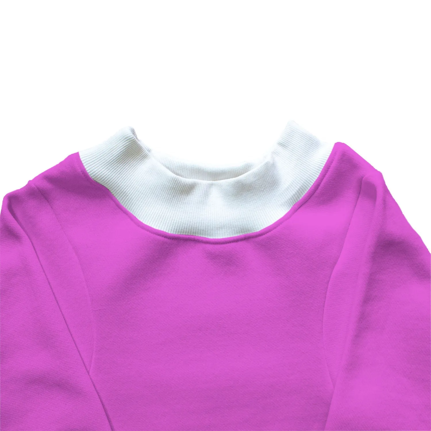 Ruse 'Basics' "Christmas Calories Don't Count" Printed Crew Neck Full Sleeve Sweatshirt For Dogs