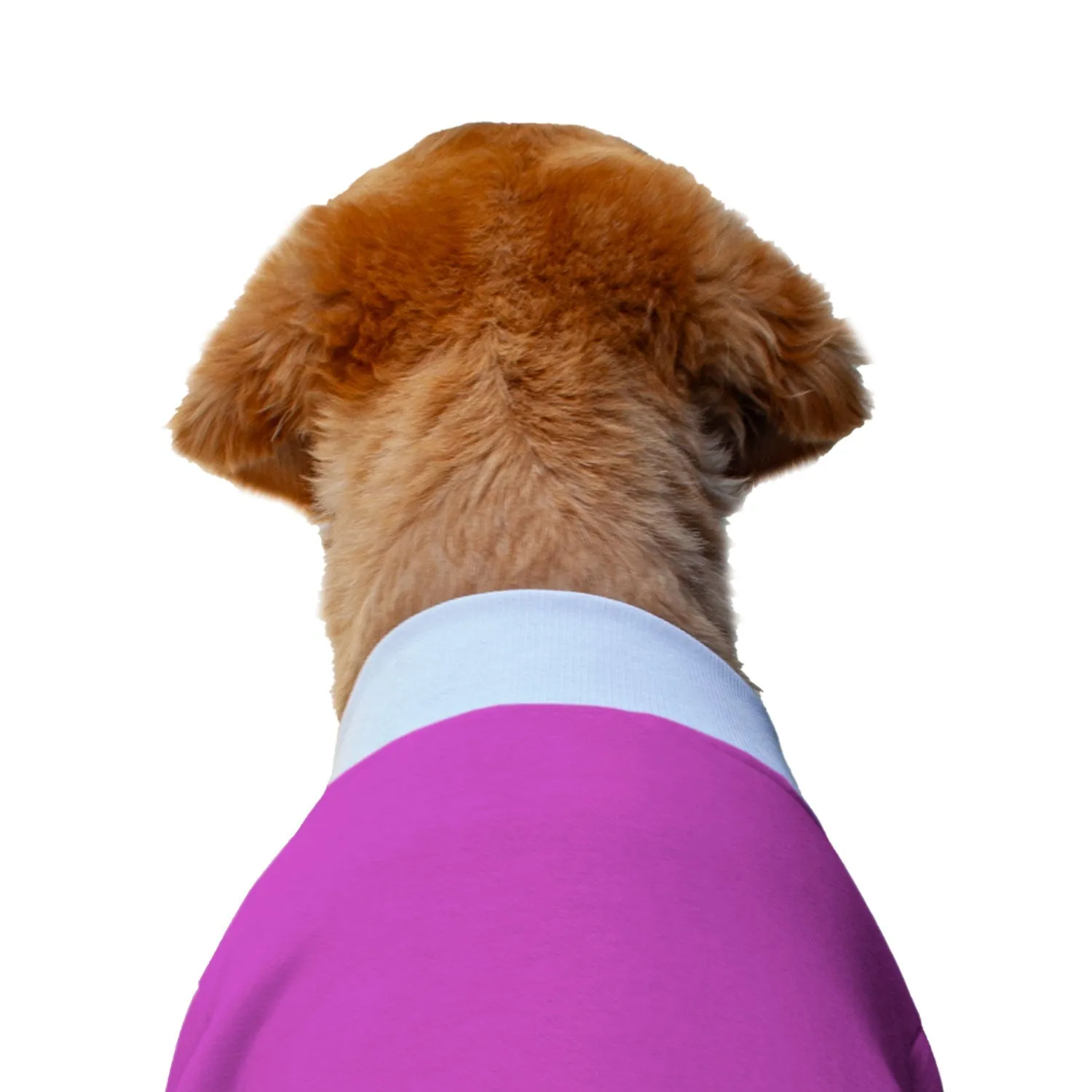 Ruse 'Basics' "Christmas Calories Don't Count" Printed Crew Neck Full Sleeve Sweatshirt For Dogs