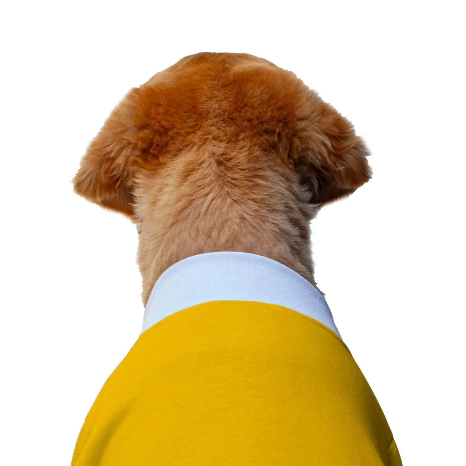 Ruse 'Basics' "Christmas Calories Don't Count" Printed Crew Neck Full Sleeve Sweatshirt For Dogs
