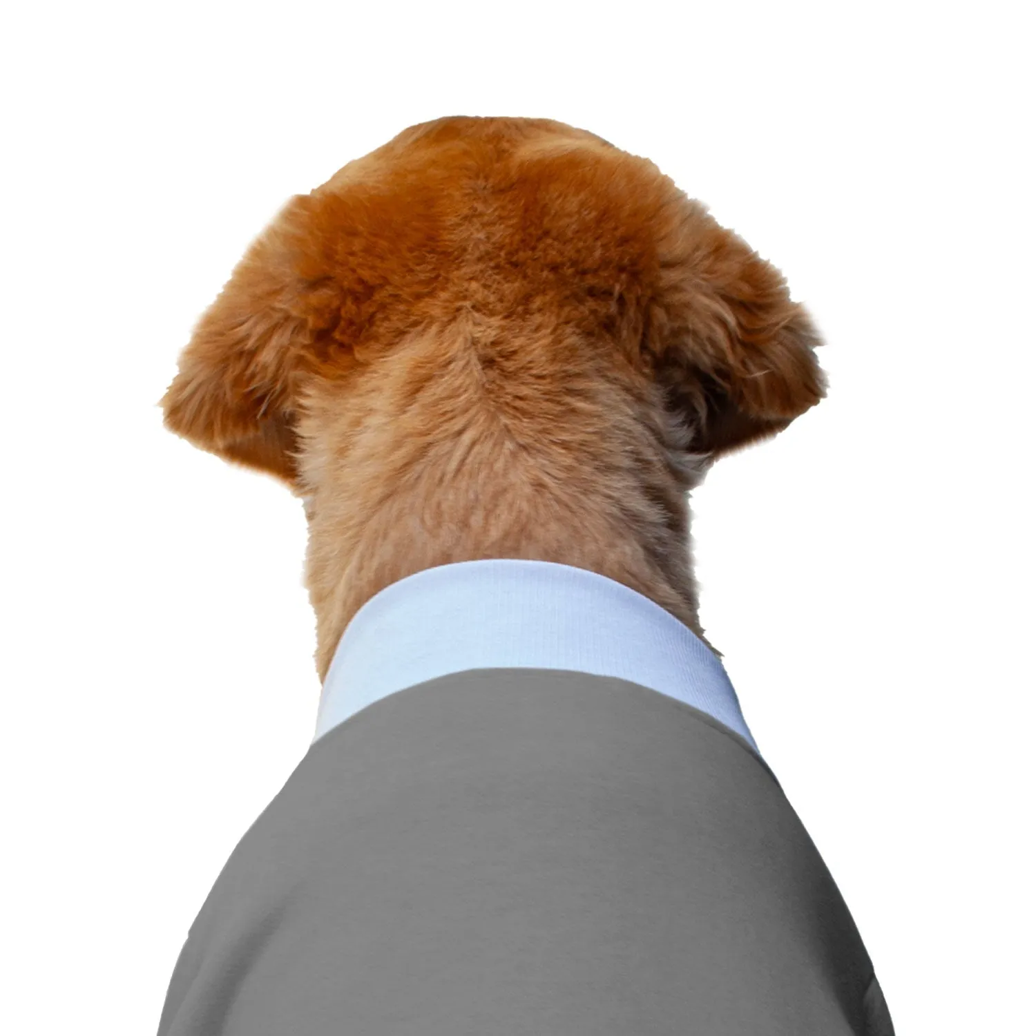 Ruse 'Basics' "Christmas Calories Don't Count" Printed Crew Neck Full Sleeve Sweatshirt For Dogs